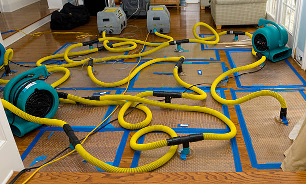 Professional Crawl Space Water Removal technician working in Andrews, IN
